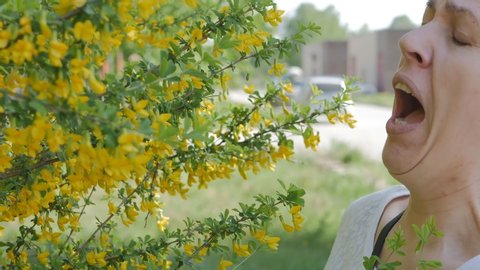 A young woman sniffs the fragrant yellow flowers of acacia and sneezes from an Allergy to pollen. She is forced to put a protective mask on her face and walk away from the flowers. 4K