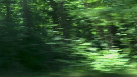 Car speeding on a road through green forest - side window blurred motion view - 4K footage