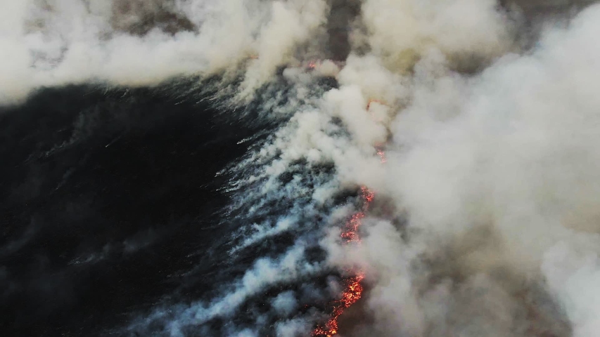 Aerial view of wild fire, burning field. Arson grass in spring, wildfire reason. Deforestation, environmental damage, climate change, global warming. Thick plumes of dark smoke, air pollution, ecology Royalty-Free Stock Footage #1053006419