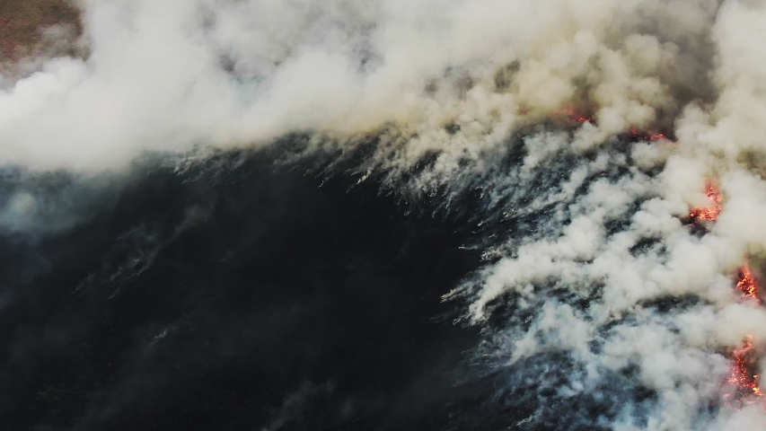 Aerial view of wild fire, burning field. Arson grass in spring, wildfire reason. Deforestation, environmental damage, climate change, global warming. Thick plumes of dark smoke, air pollution, ecology Royalty-Free Stock Footage #1053006428