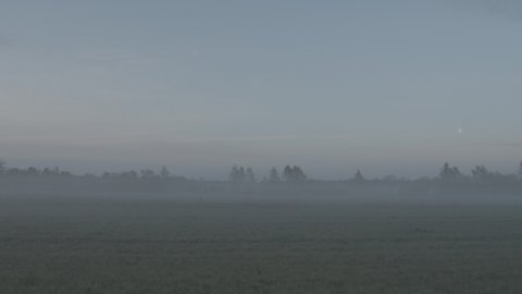 Fog at sunrise in the field