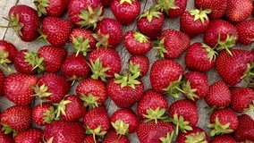 Many ripe red strawberries on grey wooden table rotated clockwise, top view