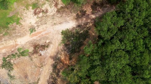 Aerial drone view of deforestation of a tropical rainforest for rubber and palm oil plantations.
Deforestation is a major contributing factor to man-made climate change and global warming