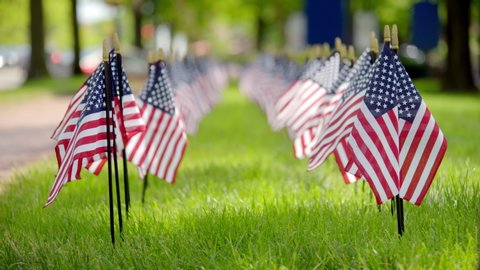 Row American Flags Stand Guard On Stock Footage Video (100% Royalty ...