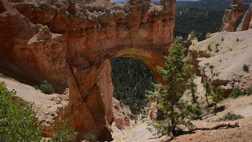 BRYCE CANYON, UTAH - JULY 2014: Bryce is distinctive due to geological structures called hoodoos, formed by erosion of sedimentary rocks. The colors of the rocks provide spectacular views for visitors
