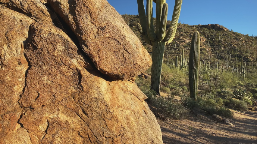 Warm-toned desert boulders in the foreground with tall saguaro cacti in the background at Saguaro National Park, Tucson, Arizona. Panorama left to right.