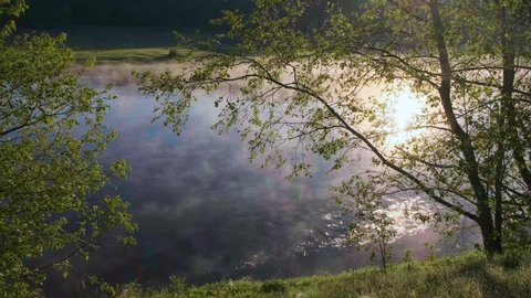 Foggy spring summer morning on Volga river with birdsong, spring birds singing, nightingale, birdsong