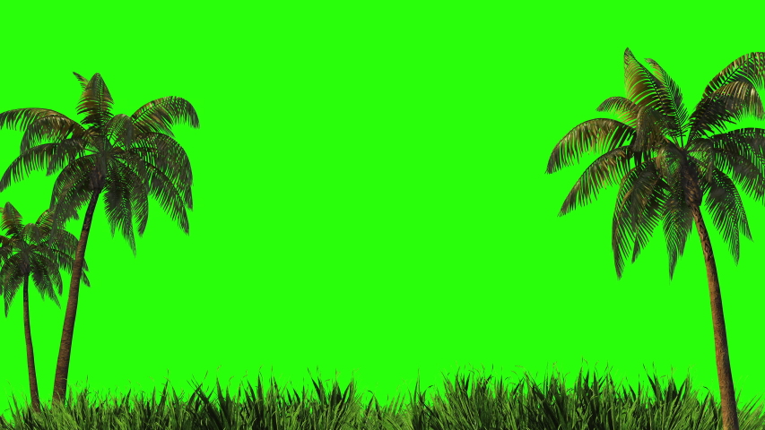 Harvesting, design palm trees and grass on a green background. 
Green screen for keying and alpha channel
