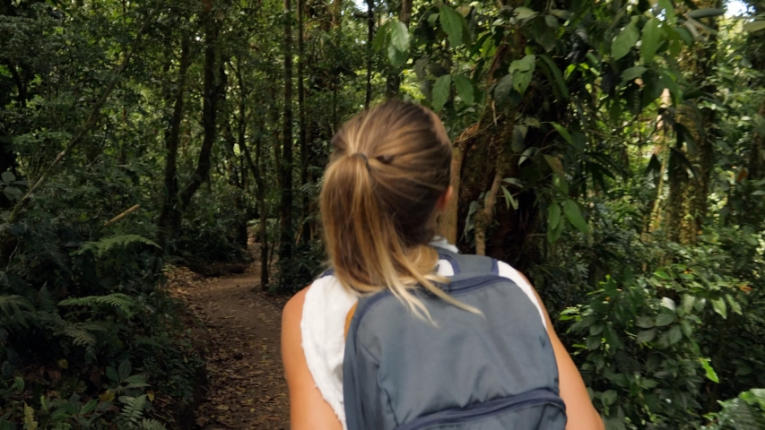 Rear view of young woman walking in tropical rainforest exploring nature and enjoying national park. People travel exotic destination Royalty-Free Stock Footage #1053100997