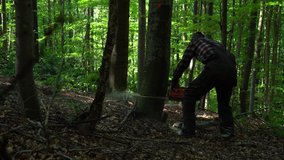 A cut tree falls to the ground. Lumberjack and his work in the forest. Tree cut by a chainsaw. - Powered by Shutterstock - Get 15% off with code: PIKWIZARD15