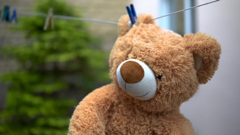 A teddy bear is dried on a rope. Bear is hanging outdoors. Clothespin on the ear.