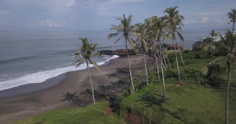 Aerial view of palms at the beach, Kedungu beach, Bali, Indonesia