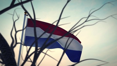 Netherlands flag through trees waving and backlit. Dutch flagpole represents country and national freedom - 3d animation