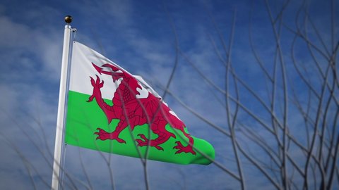 Wales flying flag waving in blue sky. National Welsh independence showing democracy and pride - 3d footage animation