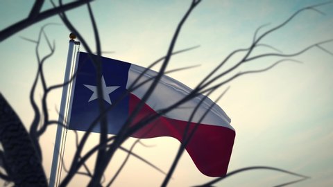 Texas flag waving in the lone star state. Patriotic banner and american emblem - video animation