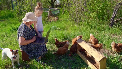 Grandmother teaches Granddaughter to work on computer in village, in nature. chickens and dog, Jack Russell Terrier. Old woman out of town with computer. training elderly family members.