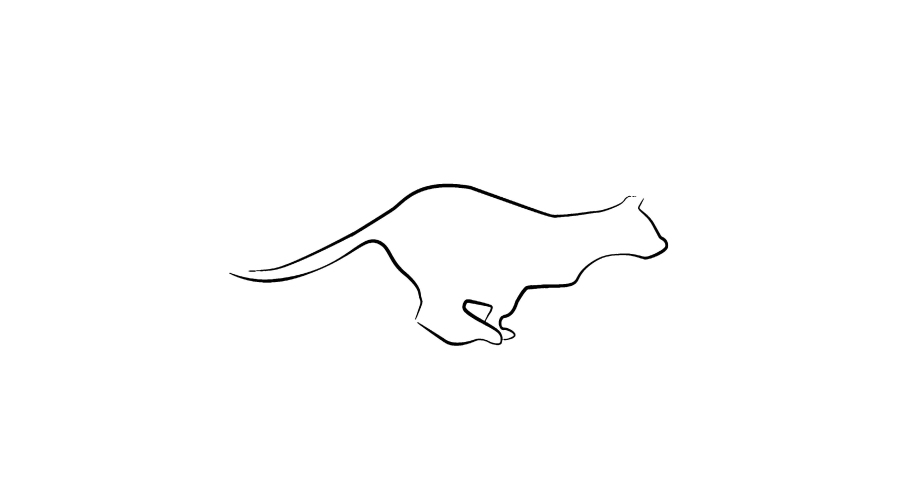 Running cat 4K. HD. Gif animation
