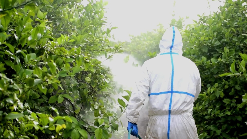 Spray ecological pesticide. Farmer fumigate in protective suit and mask lemon trees. Man spraying toxic pesticides, pesticide, insecticides  Royalty-Free Stock Footage #1053166883
