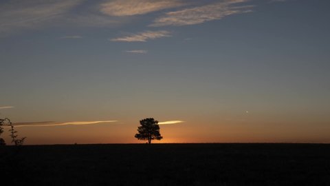 Time lapse of the rising sun next to a lone tree on the prairie
