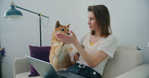 Backward Dolly Shot of Young Woman Sitting on Sofa with Laptop on Her Knees and Dog Nearby. She Plays with the Dog, Strokes and Hugs Him. Animal-Human Friendship and Relations. Slow Motion Cinematic
