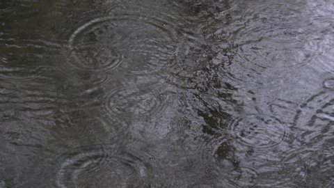 Ripples of raindrops in a big puddle.