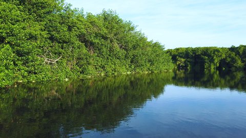 Visiting the Mangroves of La Tovara Wetlands National Park. a Ramsar Site, of Matanchen Bay by the Pacific Ocean in Riviera Nayarit the coastline of Nayarit State of Mexico in Central America, America