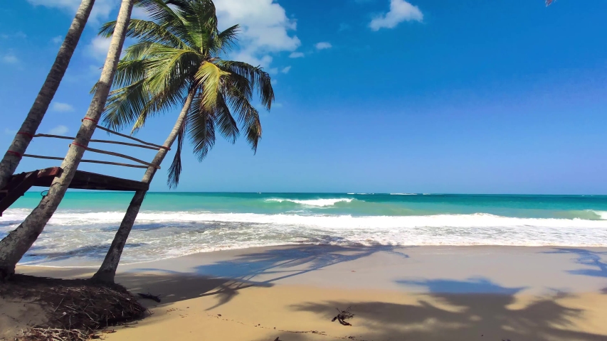  Foto zu Coastline Landscape in the Dominican Republic image - Free stock photo 