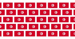 Tunisia Flag Video Loop Background