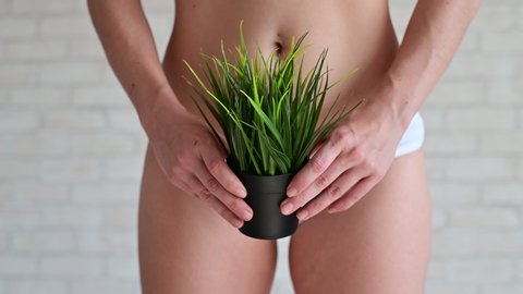 A woman in white panties holds a pot with a bushy plant on a background of light bricks. Refusal of depilation of the bikini zone. The girl grows her hair before hair removal. Hippie vegetation.