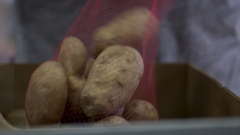 Donated potatoes getting put in delivery bags at a food bank during the COVID-19 pandemic