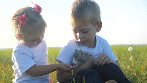 little children and cat concept happy family slow motion video. children brother and sister hold play with a small kitten on the nature sunset lifestyle summer in the park. little girl and boy and cat