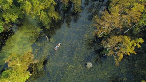 Cypress Gardens drone video of a canoe paddling through the swamp trees. Berkeley County, SC, Goose Creek, and Charleston, SC area.