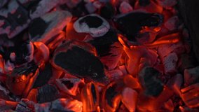 Closeup view video footage of texture of burning with red flame black natural charcoal.