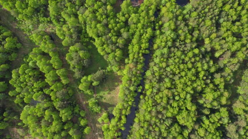 Beautiful toxic lake in the middle of a green forest. Industrial plant pollutes soil, forest and lake. Concept of environmental disaster and habitat destruction. Aerial view Royalty-Free Stock Footage #1053265265