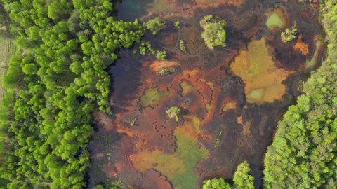 Beautiful toxic lake in the middle of a green forest. Industrial plant pollutes soil, forest and lake. Concept of environmental disaster and habitat destruction. Aerial view