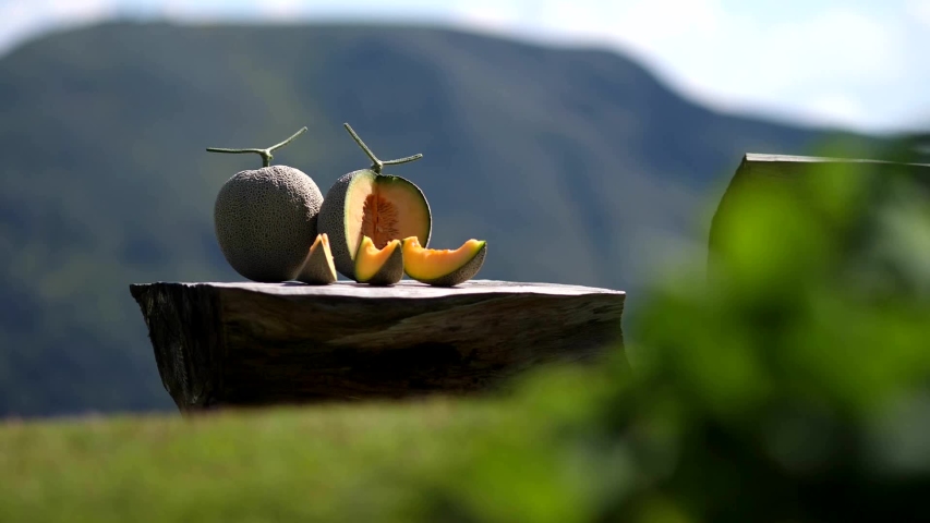 The camera slid out of the tree, saw the ball of melon set on a beautiful plate. Royalty-Free Stock Footage #1053269711