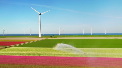 AERIAL WS Wind turbines on colorful fields near sea / 3n, Netherlands
