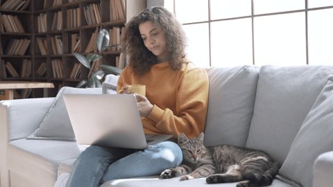 Happy young hispanic latin teen girl watching movie on laptop holding computer, laughing, drinking tea, playing cuddling with cat relaxing having fun sitting on sofa at home in cozy living room.