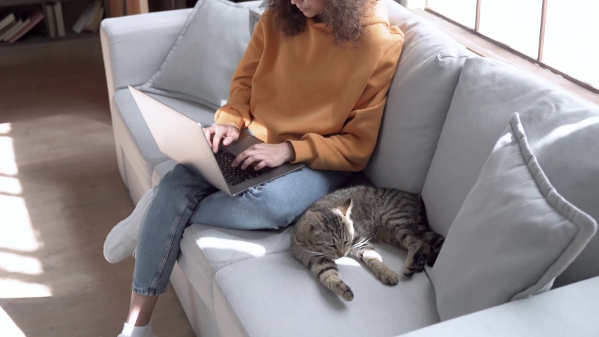 Young hispanic latin teen girl student, young woman remote worker using laptop working studying online from home office sit on sofa with cute cat pet doing freelance distance work in sunny cozy flat. Royalty-Free Stock Footage #1053275741