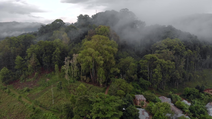 Tangas Stock Video Footage - 4K and HD Video Clips | Shutterstock