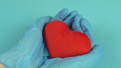 Caring hands of a doctor in medical gloves hold a heart, donation and implantation, charity in hospitals