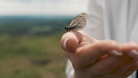 Girl holding a butterfly in her hands, fly away, close-up