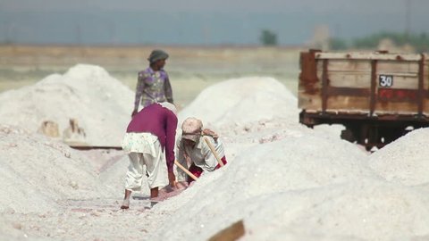 SAMBHAR, INDIA - NOVEMBER 19, 2012: Indian people mining and hauling salt at a saline on lake in Sambhar, India, November 19, 2012