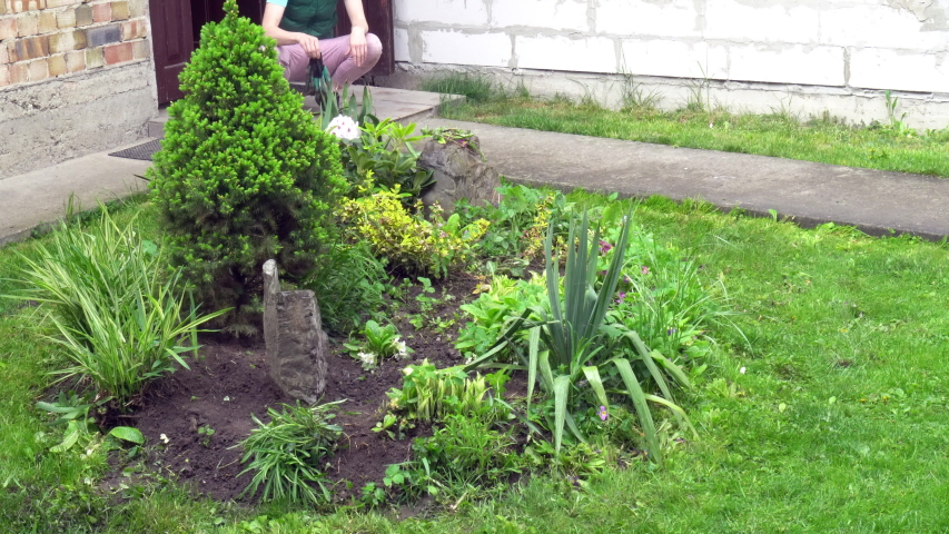 Woman gardener takes care of the yard.