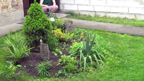 Woman gardener takes care of the yard.