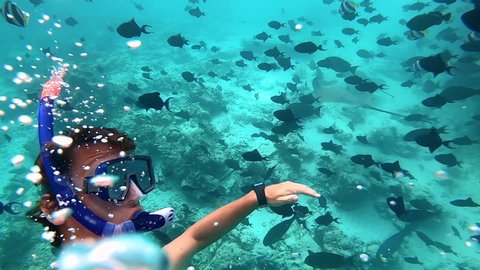SLOW MOTION, SELFIE, UNDERWATER: Breathtaking view of male snorkeler diving with a school of tropical fish. Caucasian man on carefree summer vacation in Maldives dives with exotic fish and stingrays.