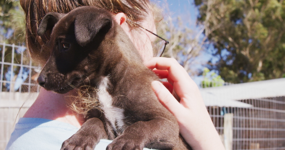 Close up of a Caucasian female volunteer wearing blue uniform at an animal shelter holding a rescued puppy in her arms, on a sunny day in slow motion Royalty-Free Stock Footage #1053342992