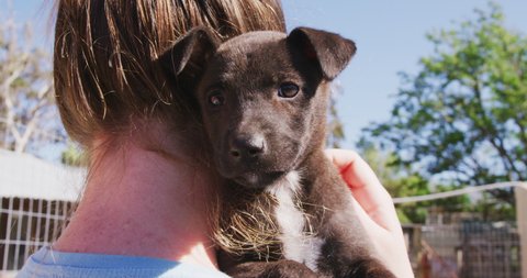 Close up of a Caucasian female volunteer wearing blue uniform at an animal shelter holding a rescued puppy in her arms, on a sunny day in slow motion