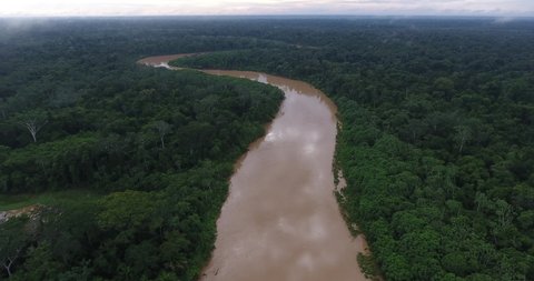 Large and Beautiful Amazon Rainforest River Surrounded by Pristine Luxuriant Green Jungle