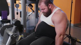 Very large bearded bodybuilder trains legs in the gym.